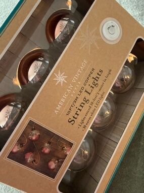 American Vintage Copper String Lights with Rose-Tinted Bulbs
